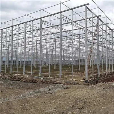 Aço galvanizado multi -span Greenhouse